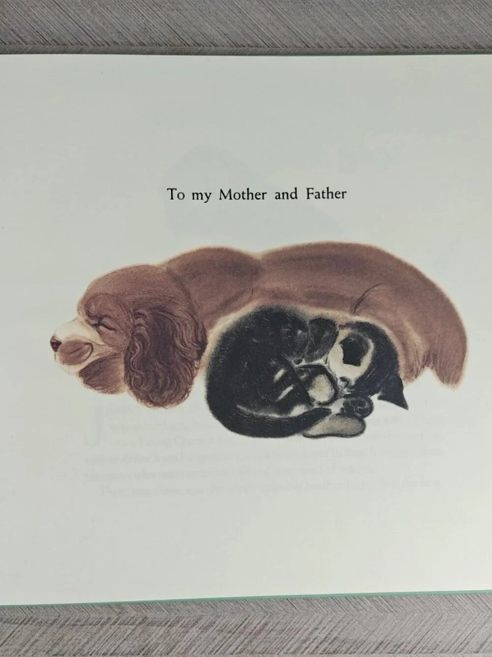 Barkis Clare Turlay Newberry Hardcover 1998 First Smithmark Edition Illustrated